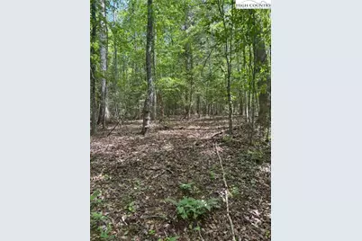 Tbd Round Hill Church Road, Traphill, NC 28685 - Photo 10