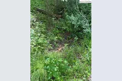 Tbd Round Hill Church Road, Traphill, NC 28685 - Photo 12