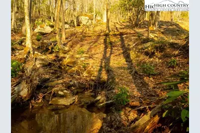 S35 Sky Rock Drive, Banner Elk, NC 28622 - Photo 4