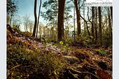 S35 Sky Rock Drive, Banner Elk, NC 28622 - Photo 2