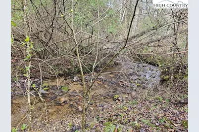0 Elk Creek Darby Road, Ferguson, NC 28624 - Photo 2