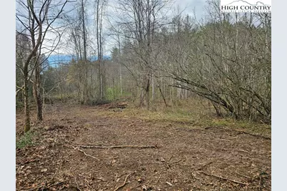 0 Elk Creek Darby Road, Ferguson, NC 28624 - Photo 10