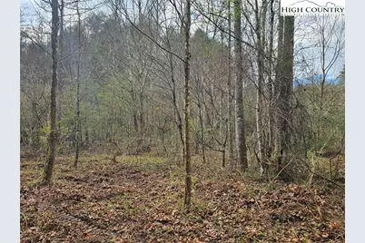 0 Elk Creek Darby Road, Ferguson, NC 28624 - Photo 8