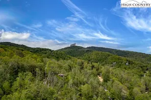 110 Forest Run, Sugar Mountain, NC 28604 - Photo 30