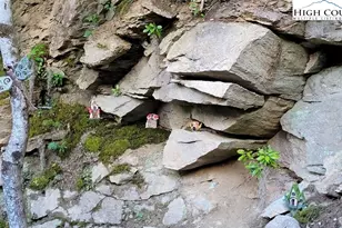 1157 Pine Ridge Rd, Beech Mountain, NC 28604 - Photo 20