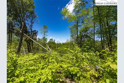 Es28 Eagle Springs Trail, Banner Elk, NC 28604 - Photo 6