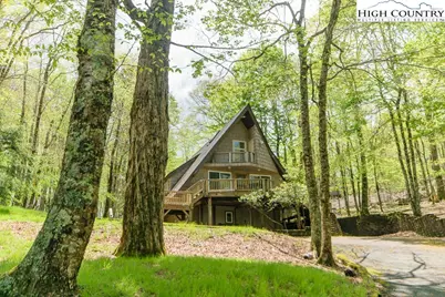 205 Spring Branch Road, Beech Mountain, NC 28604 - Photo 44