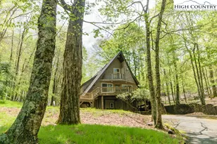 205 Spring Branch Rd, Beech Mountain, NC 28604 - Photo 44