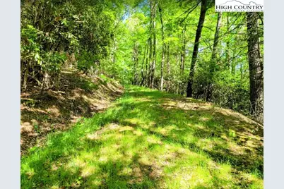 Tbd Lucky Leaf Lane, Vilas, NC 28692 - Photo 12
