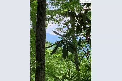 Tbd Lucky Leaf Lane, Vilas, NC 28692 - Photo 18