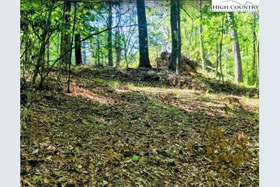 Tbd Lucky Leaf Lane, Vilas, NC 28692 - Photo 8