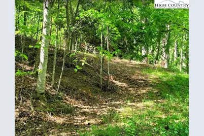 Tbd Lucky Leaf Lane, Vilas, NC 28692 - Photo 8