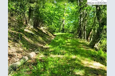 Tbd Lucky Leaf Lane, Vilas, NC 28692 - Photo 12