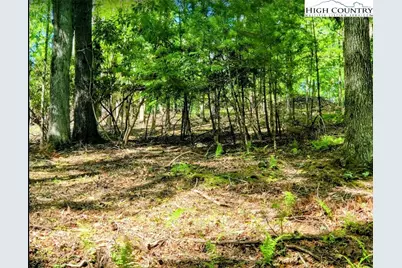 Tbd Lucky Leaf Lane, Vilas, NC 28692 - Photo 10