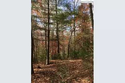 Tbd Lucky Leaf Lane, Vilas, NC 28692 - Photo 16