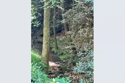 10.1 Acres Powder Horn Mountain Road, Deep Gap, NC 28618 - Photo 12