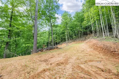 10.1 Acres Powder Horn Mountain Road, Deep Gap, NC 28618 - Photo 6