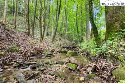10.1 Acres Powder Horn Mountain Road, Deep Gap, NC 28618 - Photo 14