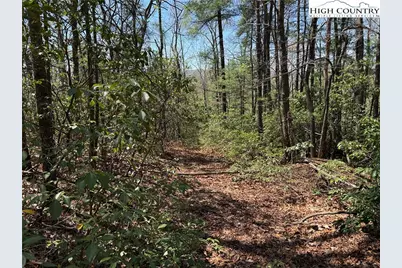 Lot 213 Casey Mountain Road, Purlear, NC 28665 - Photo 2