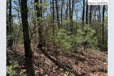 Lot 213 Casey Mountain Road, Purlear, NC 28665 - Photo 10