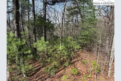 Lot 213 Casey Mountain Road, Purlear, NC 28665 - Photo 4
