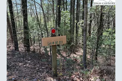 Lot 213 Casey Mountain Road, Purlear, NC 28665 - Photo 2