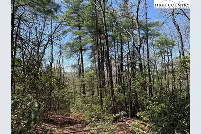 Lot 213 Casey Mountain Road, Purlear, NC 28665 - Photo 6