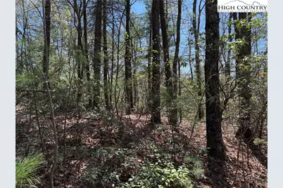 Lot 213 Casey Mountain Road, Purlear, NC 28665 - Photo 10