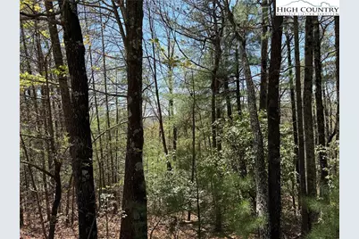 Lot 213 Casey Mountain Road, Purlear, NC 28665 - Photo 14