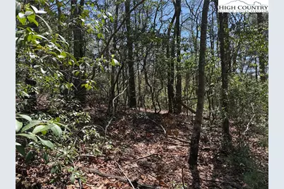 Lot 213 Casey Mountain Road, Purlear, NC 28665 - Photo 8