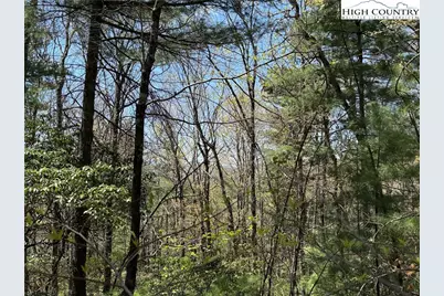 Lot 213 Casey Mountain Road, Purlear, NC 28665 - Photo 14
