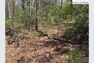 Lot 213 Casey Mountain Road, Purlear, NC 28665 - Photo 16