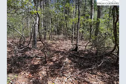 Lot 213 Casey Mountain Road, Purlear, NC 28665 - Photo 10