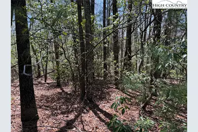 Lot 213 Casey Mountain Road, Purlear, NC 28665 - Photo 12