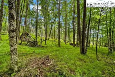Es-97 Twisted Oak Path, Banner Elk, NC 28604 - Photo 10