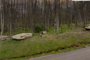 Es-97 Twisted Oak Path, Banner Elk, NC 28604 - Photo 1