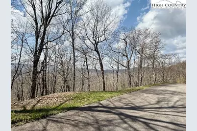 Lot 38 Crown Spruce Lane, West Jefferson, NC 28694 - Photo 2