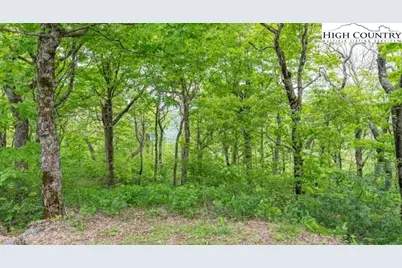 Lot 38 Crown Spruce Lane, West Jefferson, NC 28694 - Photo 4