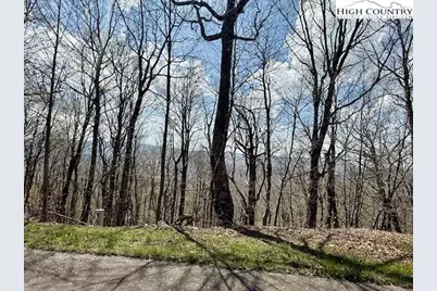 Lot 38 Crown Spruce Lane, West Jefferson, NC 28694 - Photo 1