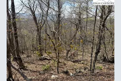 Lot 38 Crown Spruce Lane, West Jefferson, NC 28694 - Photo 14