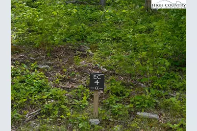 Ec4 Eagle Crest Trail, Elk Park, NC 28604 - Photo 6