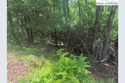 Tbd Deerwood Road #58, Sparta, NC 28675 - Photo 1