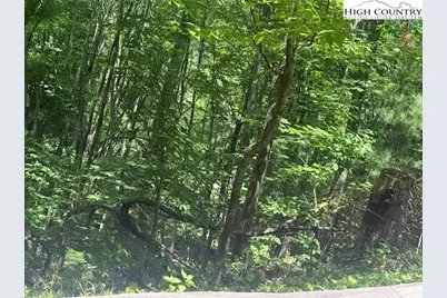 Tbd Deerwood Road #58, Sparta, NC 28675 - Photo 2