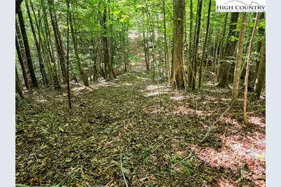 Lot 2B Brightwood Trail, Deep Gap, NC 28618 - Photo 4