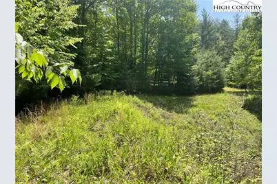 Lot 66 Daves Connector, Jefferson, NC 28640 - Photo 4