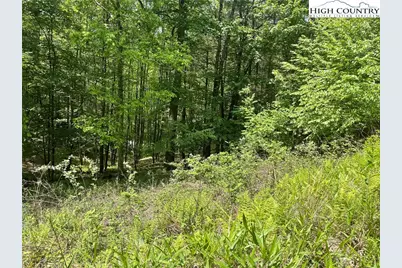 Lot 66 Daves Connector, Jefferson, NC 28640 - Photo 10