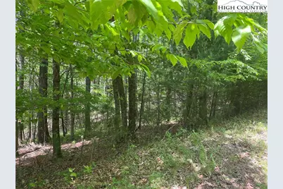 Lot 66 Daves Connector, Jefferson, NC 28640 - Photo 12