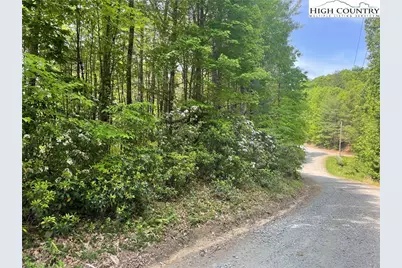 Lot 66 Daves Connector, Jefferson, NC 28640 - Photo 20