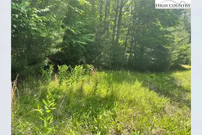 Lot 66 Daves Connector, Jefferson, NC 28640 - Photo 8
