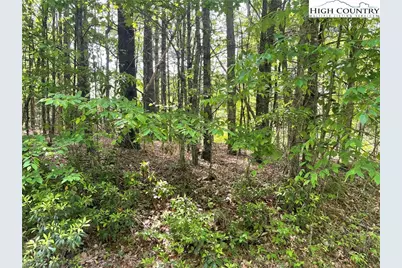 Lot 66 Daves Connector, Jefferson, NC 28640 - Photo 14